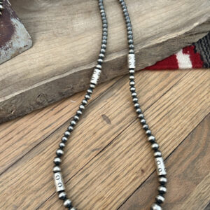 High Desert Silver Strand